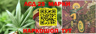 стаф Лесосибирск