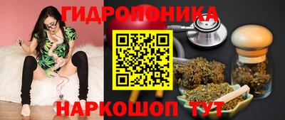 стаф Лесосибирск