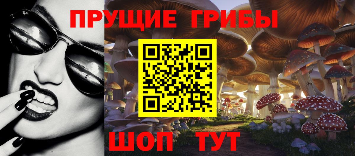 Псилоцибиновые грибы MAGIC MUSHROOMS  Вход с VPN  Алейск 