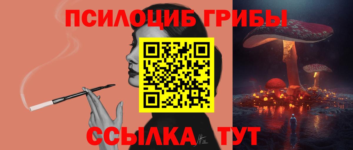 Галлюциногенные грибы Magic Shrooms Алейск